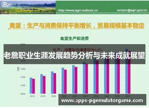 老詹职业生涯发展趋势分析与未来成就展望