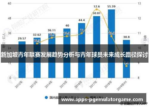 新加坡青年联赛发展趋势分析与青年球员未来成长路径探讨