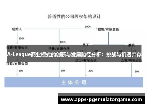 A-League商业模式的创新与发展路径分析：挑战与机遇并存