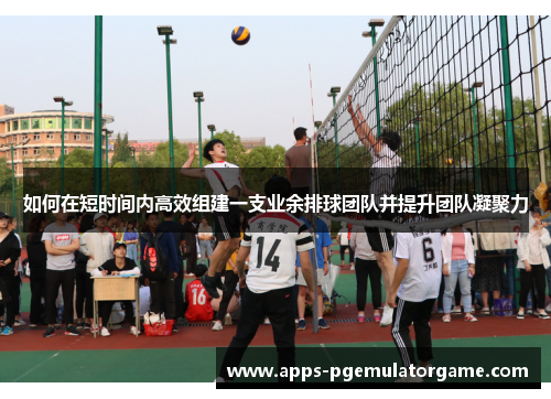如何在短时间内高效组建一支业余排球团队并提升团队凝聚力