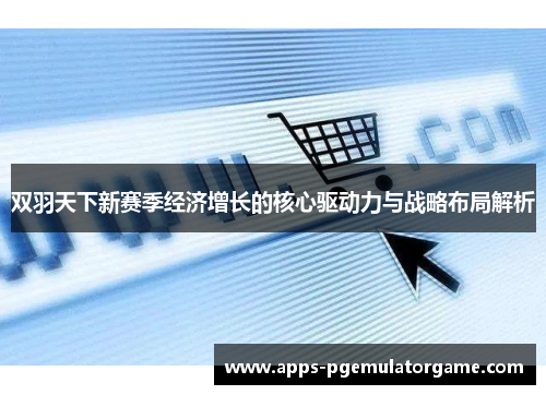 双羽天下新赛季经济增长的核心驱动力与战略布局解析