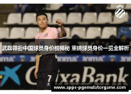武磊领衔中国球员身价榜揭秘 重磅球员身价一览全解析