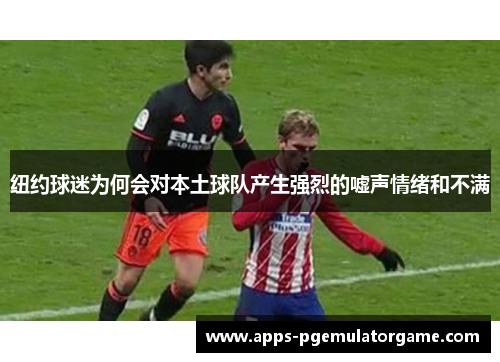 纽约球迷为何会对本土球队产生强烈的嘘声情绪和不满