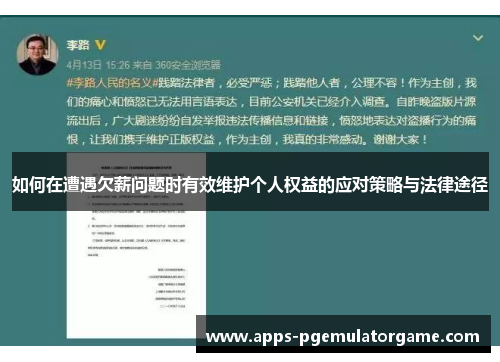 如何在遭遇欠薪问题时有效维护个人权益的应对策略与法律途径