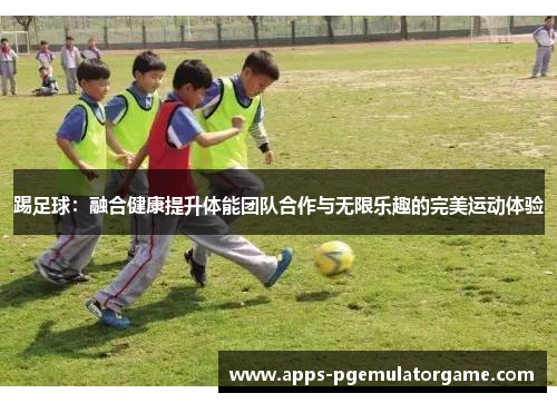 踢足球：融合健康提升体能团队合作与无限乐趣的完美运动体验