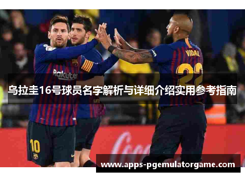 乌拉圭16号球员名字解析与详细介绍实用参考指南