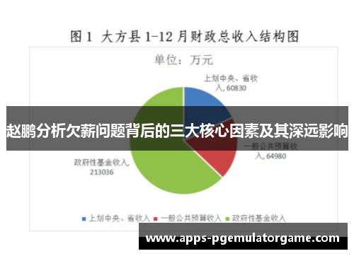 赵鹏分析欠薪问题背后的三大核心因素及其深远影响