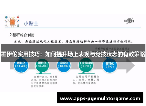 霍伊伦实用技巧：如何提升场上表现与竞技状态的有效策略